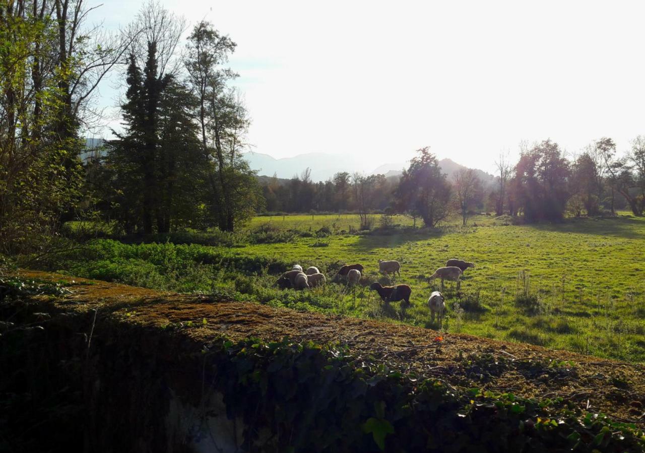 Domaine Lou Castet Bed & Breakfast